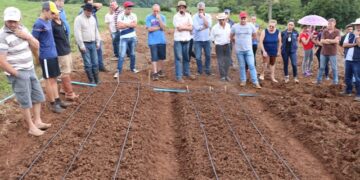 Irrigação por Gotejamento é tema de Tarde de Campo em Marques de Souza