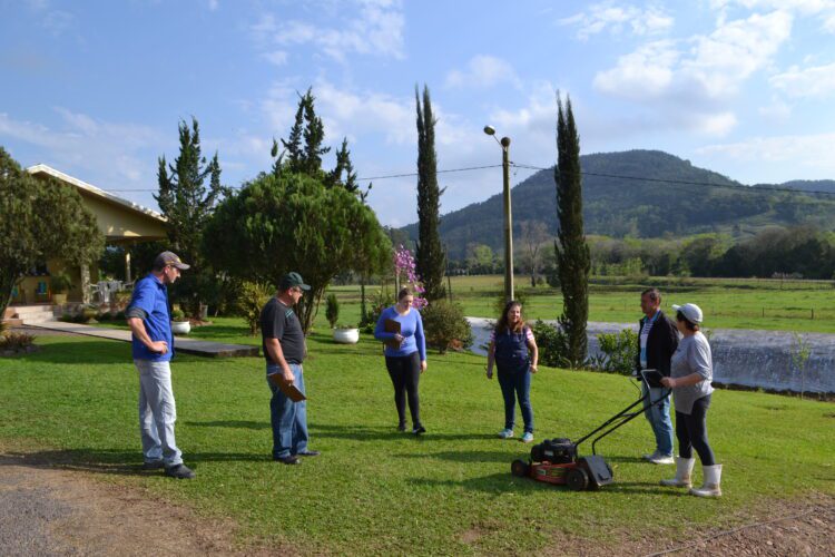 Comissão escolhe os melhores jardins
