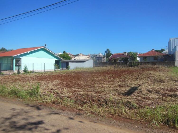 Prefeitura intensifica fiscalização para roçada de terrenos baldios
