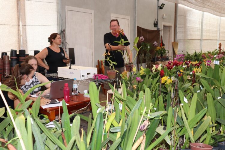 SS Orquídeas realiza primeira live do ano