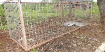 Lixeiras serão substituídas por contêiners em dezembro