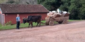 Alunos dão exemplo de preservação ambiental