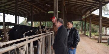 Município incentiva produtores de leite