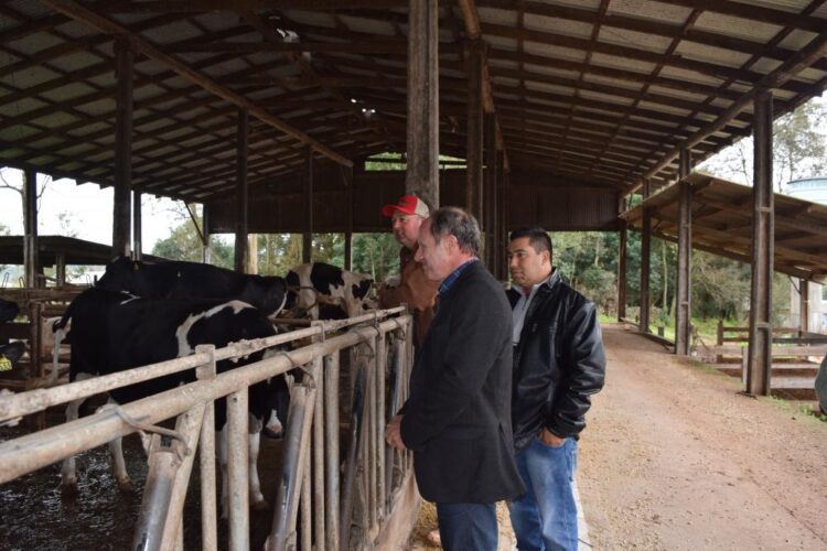 Município incentiva produtores de leite
