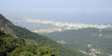 Estudo mostra regeneração de trechos da Mata Atlântica em nove estados