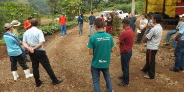 Propriedades rurais de Marques de Souza são modelo de gestão