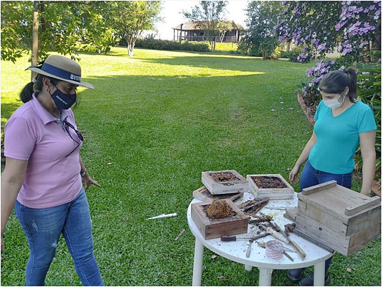 Secretaria de Agricultura e Emater incentivam a meliponicultura