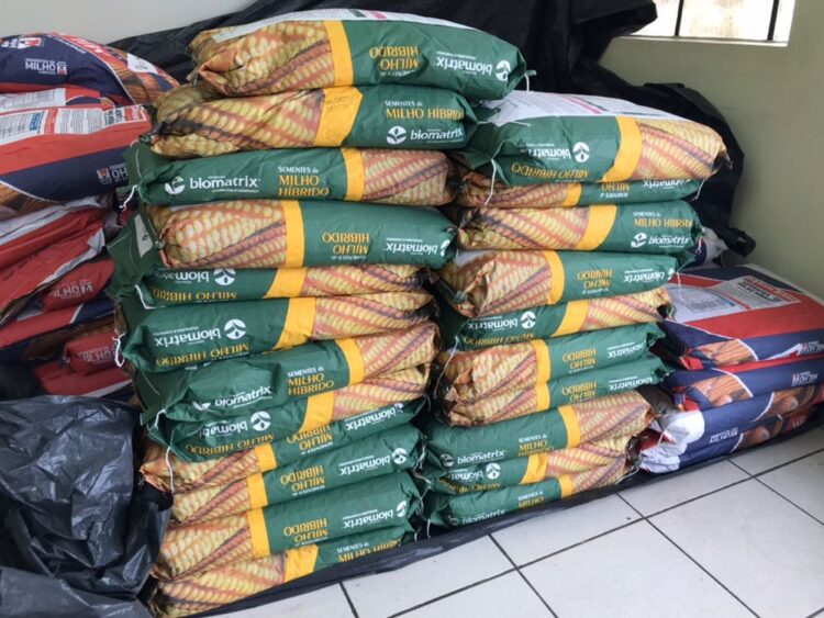 Sementes do milho safrinha já estão disponíveis na Agricultura