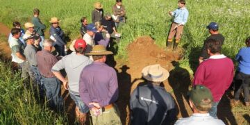 Atividade de campo em Roca Sales aborda Manejo Integrado de Pragas e Perdas na Colheita