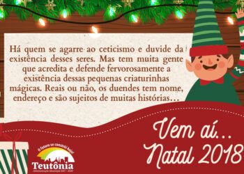 Comunidade pode colaborar com a decoração natalina do Centro Administrativo