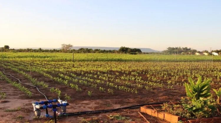 Agricultura alerta para prazo do ‘Vale Incentivo’