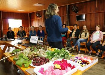 Oficina de Plantas Alimentícias Não-Convencionais (Pancs) é realizada em Estrela