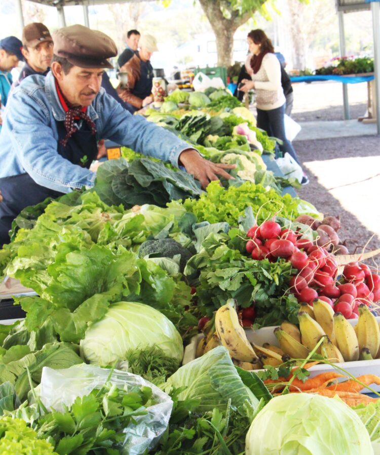 Feira de alimentos saudáveis atende em novo horário