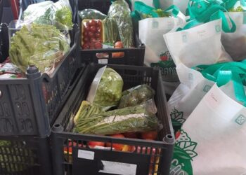 Emater/RS-Ascar elabora material que orienta transportadores de alimentos em tempos de coronavírus