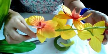 Exposição de Orquídeas, Feira de Artesanato e de Agroindústrias é nesta semana