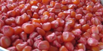 Período para obtenção do Pacote Agrícola 2017 segue até 11 de outubro