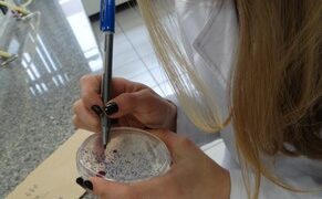 Sustentabilidade ambiental em propriedades produtoras de leite é tema de pesquisa