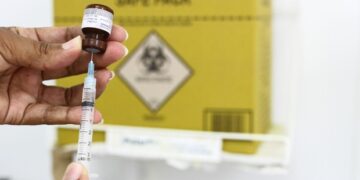 Fique por dentro da vacinação contra a Febre Amarela