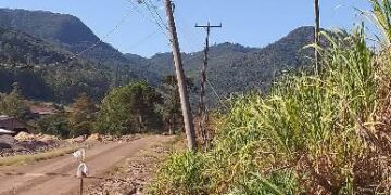 Projeto obriga troca de postes de madeira