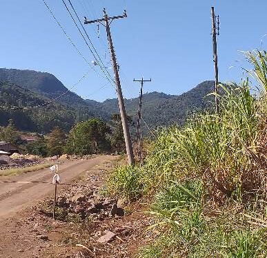 Projeto obriga troca de postes de madeira
