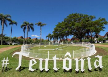 Teutônia abre processo seletivo para contratação emergencial de médico veterinário 