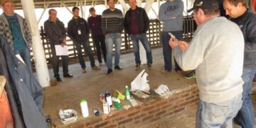 Primeiros socorros para bovinos de leite é tema de tarde de campo em Teutônia