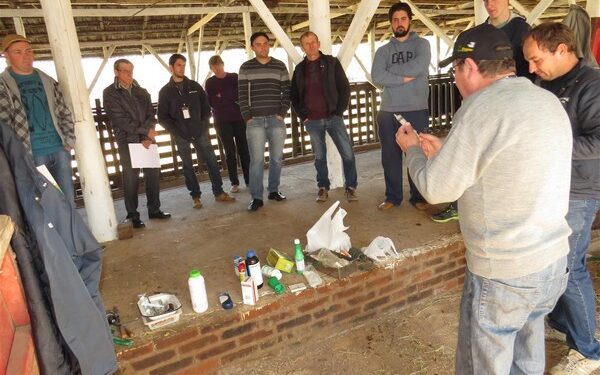 Primeiros socorros para bovinos de leite é tema de tarde de campo em Teutônia