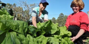 Produção Orgânica de Frutas e Hortaliças será tema de curso em Lajeado