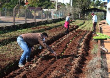Tem início Projeto de Hortas Comunitárias em Bom Retiro do Sul