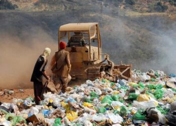 América Latina joga 145 mil toneladas de lixo orgânico por dia em aterros