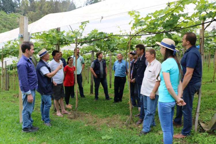 Grupo de Fruticultura do Vale do Taquari planeja ações durante reunião