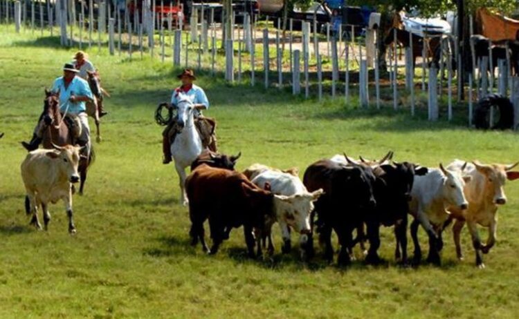 Município sedia 60ª edição do Rodeio Crioulo Estadual