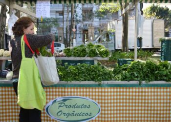 Especialistas defendem mais subsídios para aumentar produção orgânica