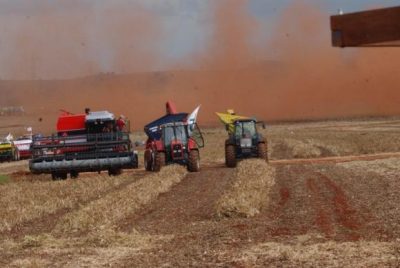 Chuvas contribuíram para a projeção de aumento de 2,2% na safra agrícola deste ano. Prognósticos indicam produção de 224,3 milhões de toneladas (Arquivo/Agência Brasil)