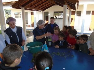 A atividade auxilia as crianças e a equipe de trabalho da escola a identificar as plantas e alguns de seus usos tradicionais (Foto: Divulgação)