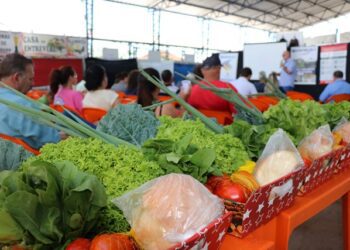 Seminário da Agricultura Familiar de Taquari discute alternativas de produção