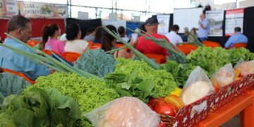 Seminário da Agricultura Familiar de Taquari discute alternativas de produção