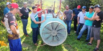 Citricultura é tema de seminário e tarde de campo em Arvorezinha