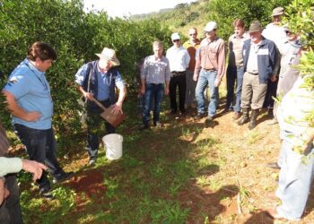 Fruticultura será tema de Seminário em Roca Sales