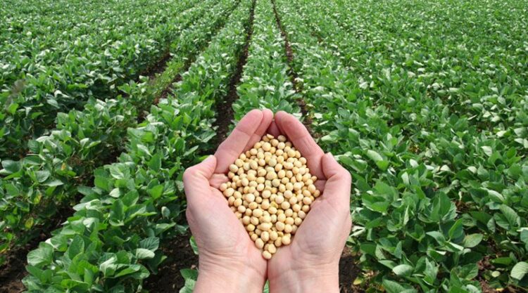 Aberto prazo para o Pacote Agrícola de Verão