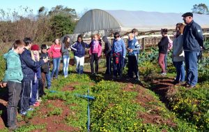 Estudantes aprenderam os tipos de hortigranjeiros, as técnicas e os sistemas de produção (Foto: Rafael Simonis)