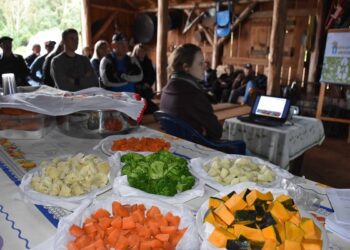 Alimentação escolar foi tema de tarde de campo em Imigrante