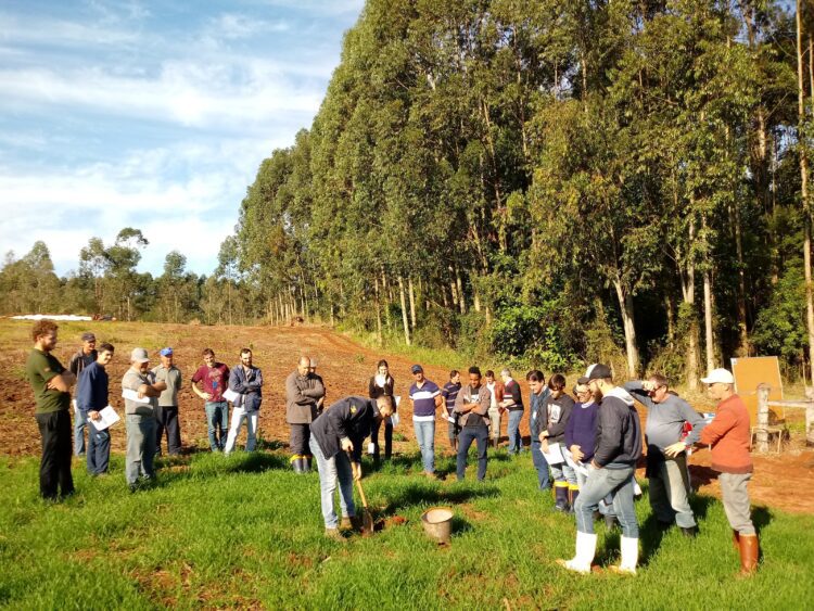Programa de Gestão Sustentável da Agricultura Familiar é tema de tarde de campo em Estrela