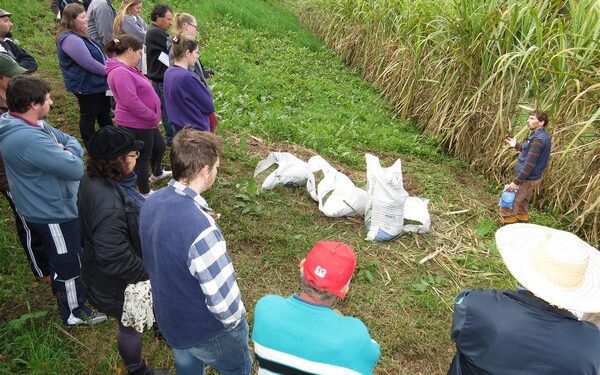 Cultivo de Hortaliças é tema de tarde de campo em Imigrante