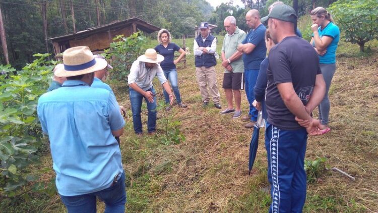 Fruticultura é tema de tarde de campo em Encantado