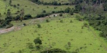 Aberto prazo para entrega de declaração rural
