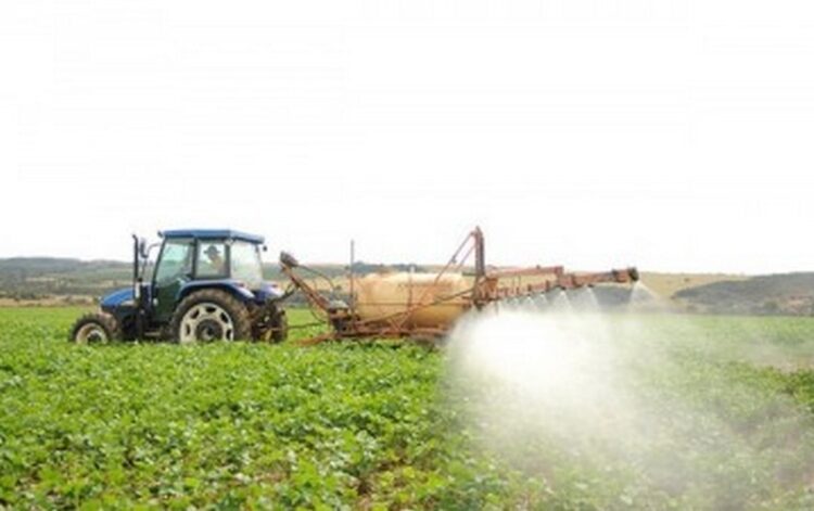 PIB agropecuário cresce 13,5% até julho deste ano