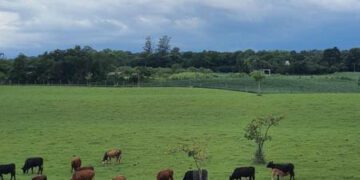 Turismo rural da região terá destaque na Expovale 2021