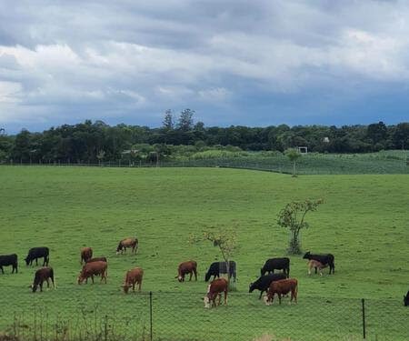 Turismo rural da região terá destaque na Expovale 2021