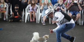 Espetáculo de cães anima e encanta público na Estrela Multifeira